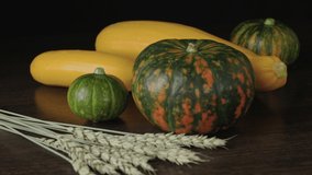 Pumpkins, zucchini and golden ears of wheat are on the table. Autumn still life of vegetables and cereals. The camera smoothly approaches the objects.