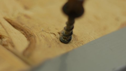 close-up. the carpenter unscrews the screw with a screwdriver from a wooden board. A man uses a screwdriver to unscrew a screw from a piece of wood in his carpentry workshop.
