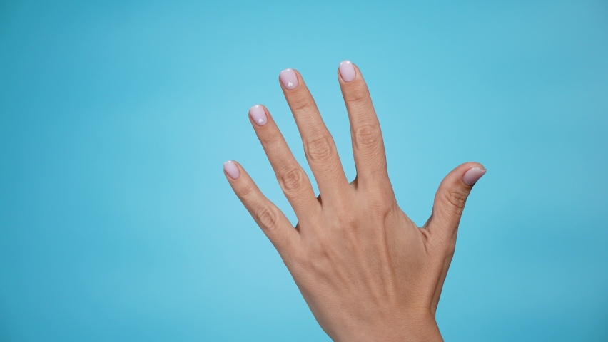 Closeup 4k of isolated on blue adult female hand counting from 0 to 5. Woman shows fist fist, then one, two, three, four, five fingers. Manicured nails painted with beautiful pink polish. Math concept Royalty-Free Stock Footage #1079920262