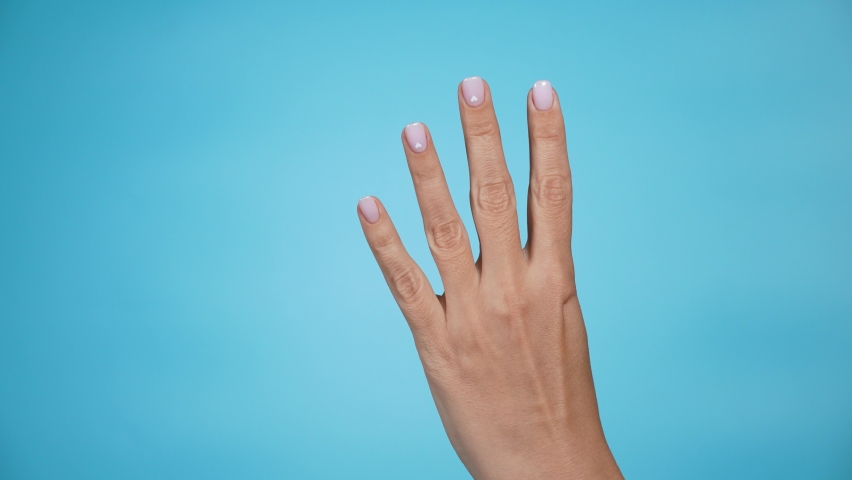 Closeup 4k of isolated on blue adult female hand counting from 0 to 5. Woman shows fist fist, then one, two, three, four, five fingers. Manicured nails painted with beautiful pink polish. Math concept