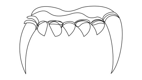 Self-drawing vampire teeth one line on a white background. 4k animation of a vampire bite. Motion element for Halloween. Long predatory teeth.
