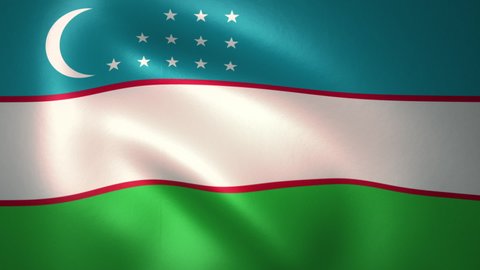 Flag of Uzbekistan Waving in the Wind (LOOP)