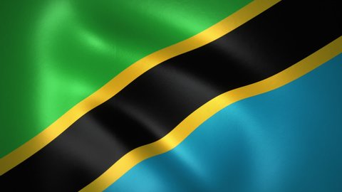 Flag of Tanzania Waving in the Wind (LOOP)
