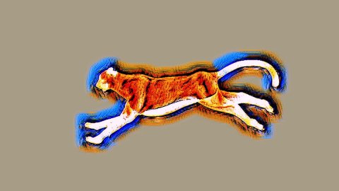 Running cheetah in Post-Impressionism style animation 