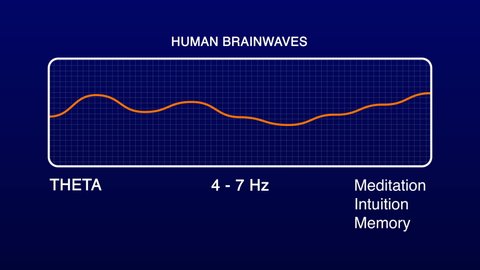 Theta Human Brain Waves Diagram Illustration Animation