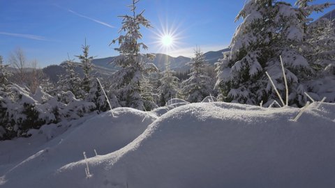 Winter fairy tale in the forest and mountains. Camera moves over snowy hills, snow glistens in morning sun. Winter in the mountains, gimbal shot