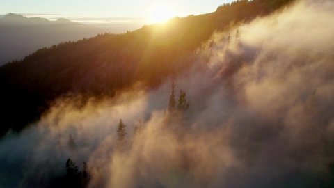 Aerial drone shot of sunset in the mountains, rays of sun break through the fog. Flying in the clouds during sunset. Hurricane Ridge in Olympic National park, Washington, United States