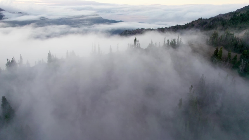 Mountains and trees in dense fog and clouds. Aerial drone shot. Hurricane Ridge in Olympic National park, Washington, United States