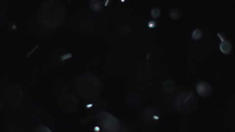 A suspension of white-silver particles in the air on a black background. Some of the particles are blurred in a beautiful bokeh. 4K background for your videos in various mixing modes.