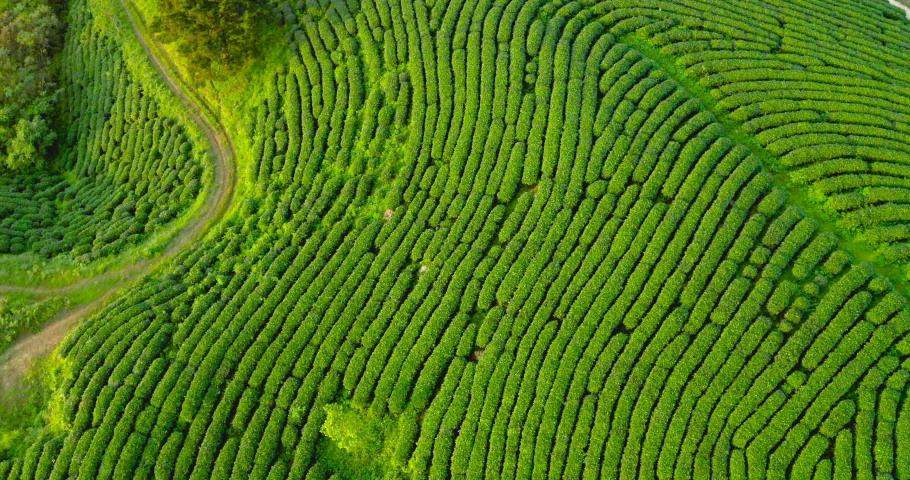 Vietnamese Scenery Landscape Stock Video Footage - 4k And Hd Video 