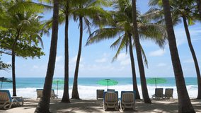 Nature video coconut trees and umbrellas sun-beds on summer beach sunny day.Shady coconut trees sea and sand blue sky.Holiday trip relax vacation. 