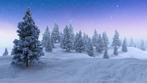 Woodland scenery with winter fir tree forest high in snowy mountains at heavy snowfall. Tilt up shot realistic 3D animation rendered in 4K