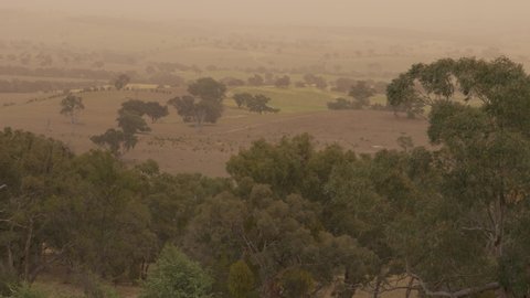 Fields in outback New South Wales Australia Dust and smoke haze storm from drought and windy day trees blowing focus pull