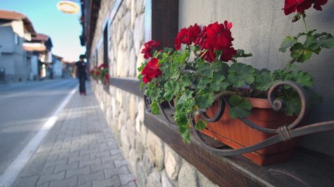 Flowery balcony in a city street in Bansko, Bulgaria