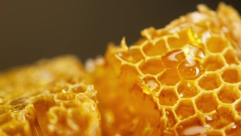 Sweet honey flowing on honeycomb close-up. Gathering fresh bee honey dripping on honey comb. Healthy and eco natural sugar food. 