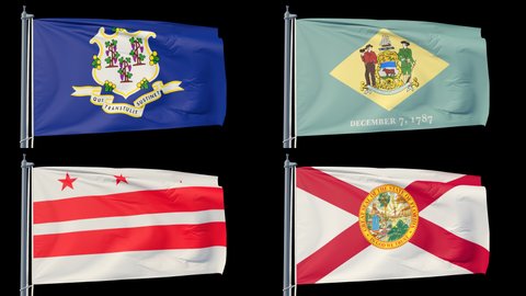 Set of states flags of US in looped animation on a transparent background (alfa chanel). Connecticut, Delaware, District of Columbia, Florida. Each flag is in Full HD format when purchasing a 2K file.