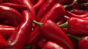 Ripe red hot chili peppers are a culinary delight and the number one cash crop in New Mexico, USA. They are a delicious part of Mexican food in the southwest. Left to right 4K close-up slider video.