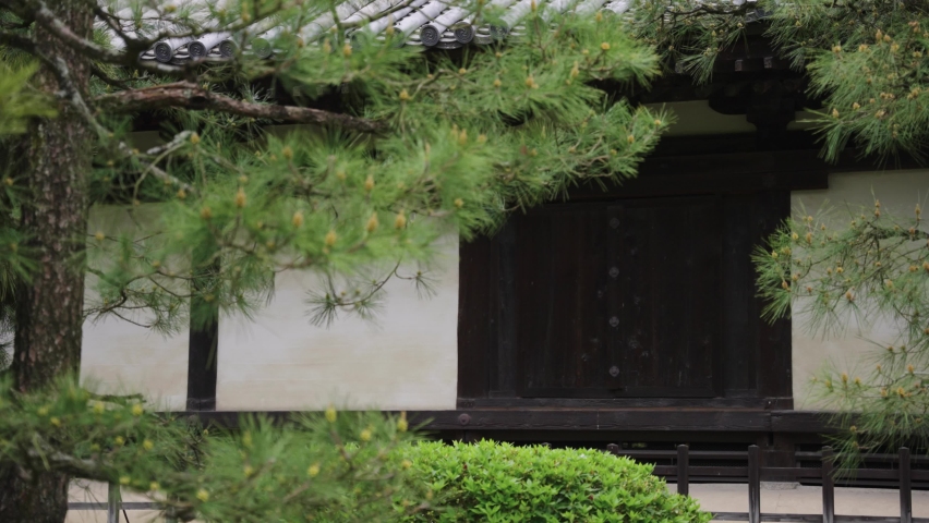 Japanese Temple Background, Pan across exterior and pine trees, Uji