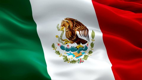 Mexico flag. National 3d Mexican flag waving. Sign of Mexico seamless loop animation. Mexican flag HD resolution Background. Mexico flag Closeup 1080p Full HD video for presentation, film,news
