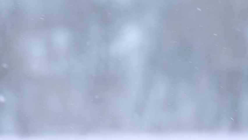 Slow motion of falling snow, blurred background in winter, fabulous season. Royalty-Free Stock Footage #1080007694