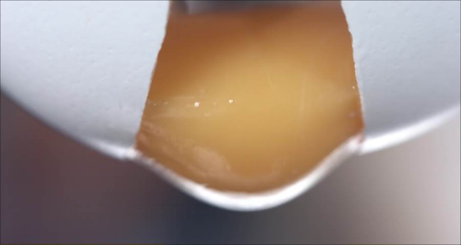 Closed up cracking fresh chicken egg, slow motion | Shutterstock HD Video #1080008165