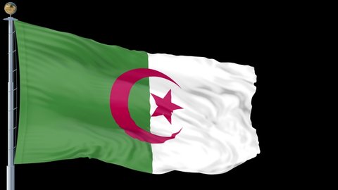 Algeria flag is waving 3D animation. Algeria flag waving in the wind. National flag of Algeria. flag seamless loop animation. high quality 4K resolution