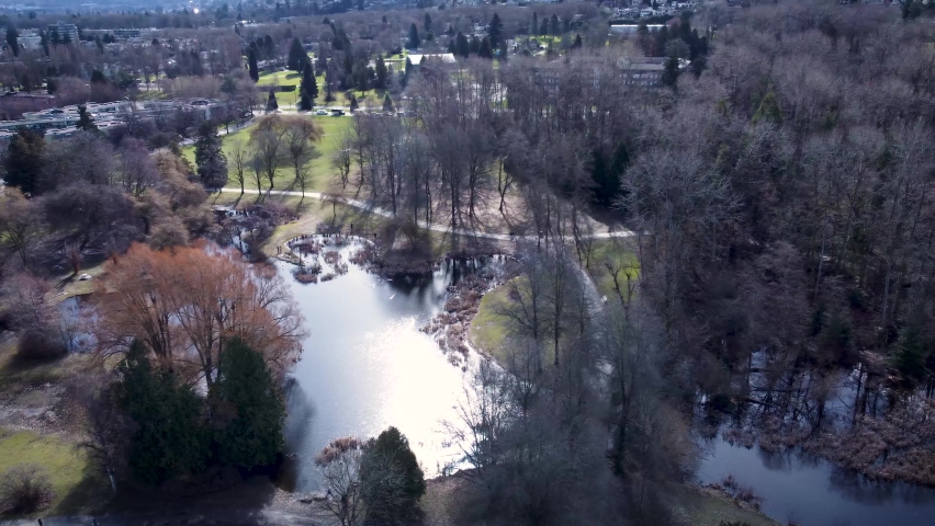 Sun reflecting on pond at Jericho Beach park 