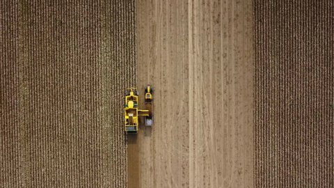 Tractor and harvester on an agricultural field in Poland. Drone shot. Aerial view, top view from above. Cinematic. Potatoes.