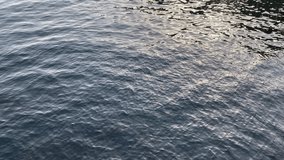 Blue sea water shiny surface. Navy blue sea rippled waves background.  Relax, zen, meditation. Beautiful evening seascape.