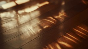 shadows of curtains swinging on the wooden floor - Powered by Shutterstock - Get 15% off with code: PIKWIZARD15
