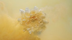 Flower in color smoke. Perfume fragrance. Pure Summer scent. Paint water drop. Yellow ink fume on white blooming daisy petals pouring animation on light pastel background. - Powered by Shutterstock - Get 15% off with code: PIKWIZARD15