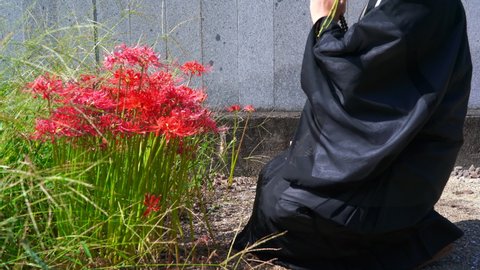 A monk praying in front of cluster amaryllis