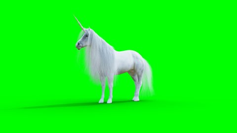 standing white magical unicorn. Green screen realistic animation.