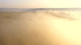 The drone flies over a wild meadow covered with fog at sunrise. Idyllic morning scene. Cinematic aerial shot. Location place Ukraine, Europe. Discover the beauty of earth. Filmed in 4k, drone video.