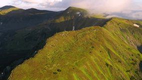 Drone flies over the green hills illuminated by the sun on a summer day. Location Carpathian mountains, Ukraine, Europe. Cinematic aerial shot. Discover the beauty of world. Filmed in 4k, drone video.