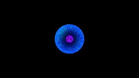  Mitosis cell division of animal 4k video animation