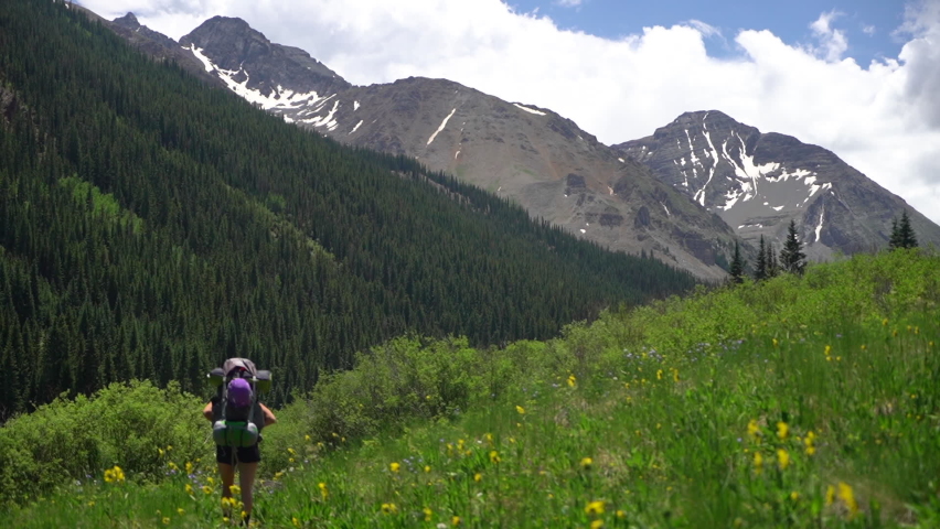 Woman With Backpack Walking on Hiking Trail in Green Meadow Under Peaks of Rocky Mountains, Colorado USA on Sunny Summer Day, Back Wide View, Full Frame