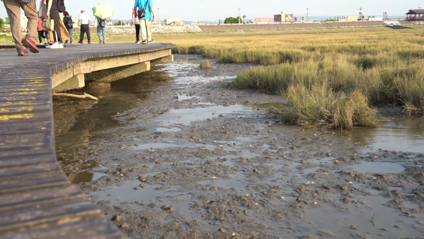 Tourists walking on the walkway platform with crustaceans and demersal fish species moving on muddy mangrove tidal flat, Gaomei wetlands preservation area, Taichung, Taiwan, Asia.