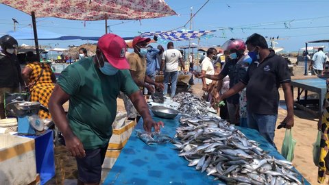 Negombo, Sri Lanka - September 29 2021: Fish market with street seafood sales, Local fishery market, local fresh fish seafood selling process, retail fish selling process in local seafood market