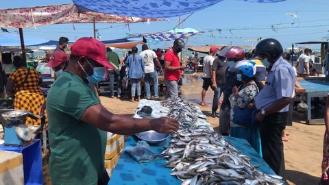Negombo, Sri Lanka - September 29 2021: Fresh fish market in rural city, fresh fish selling process in street market, street market fish retail sell with measuring their weight, sell seafoods by man 