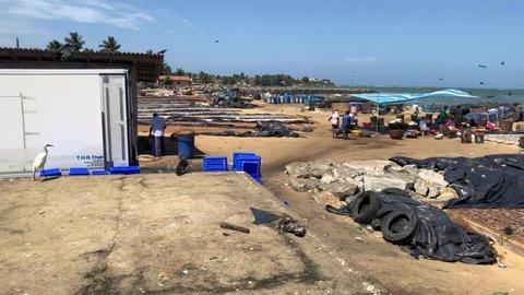 Negombo, Sri Lanka - September 29 2021: Fresh dry fish market in rural city, Kuttiduwa dryfish market, dry fishery industrial market, fishdry, fishdrying industry 