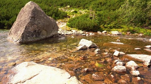 Zakopane, Poland: Crystal clear water in pond flowing as Roztoka stream or river, located in the valleys of Pieciu Stawow Polskie in the High Tatras