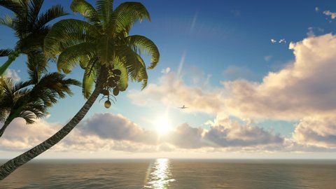 Plane is landing. Flying low over the ocean. In foreground trees palms near water. Against background of sunrise and small cumulus clouds People came to rest Travel as in dreams. 3d rendering