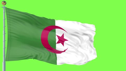 Algeria flag is waving 3D animation green screen. Algeria flag waving in the wind. National flag of Algeria. flag seamless loop animation. high quality 4K resolution