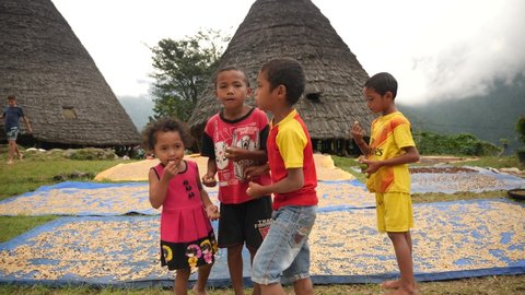 Wae Rebo, Indonesia - June 9 2021: Close-up of Local Manggarai kids acting at a camera in traditional village Wae Rebo in Flores, Indonesia with a coffee in the background.