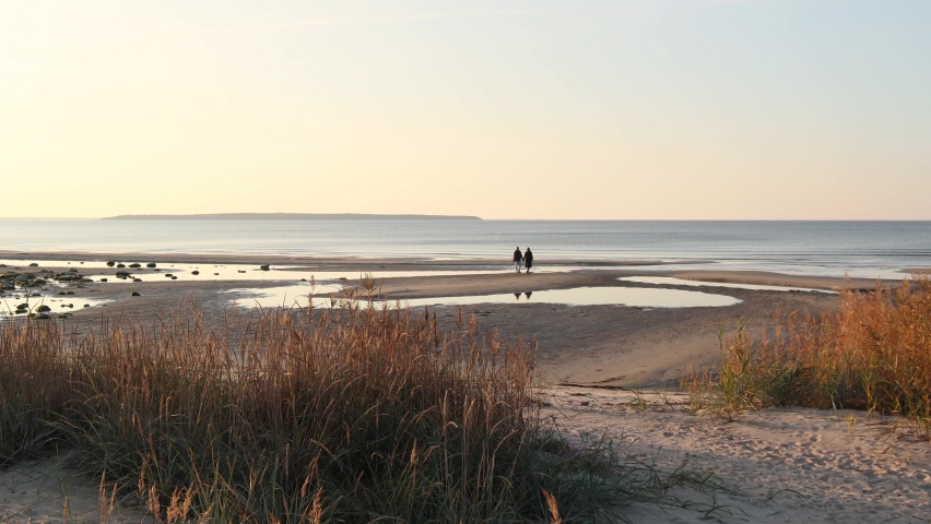 Man and a woman couple walking on an empty sandy beach with boulders, reeds, marram grass, ponds by the Baltic coastline on a sunny autumn afternoon during a low tide, enjoying isolation and peace | Shutterstock HD Video #1080127964