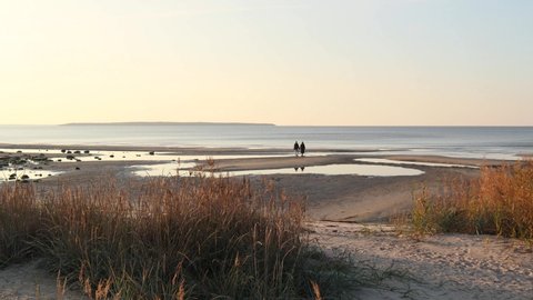 Man and a woman couple walking on an empty sandy beach with boulders, reeds, marram grass, ponds by the Baltic coastline on a sunny autumn afternoon during a low tide, enjoying isolation and peace