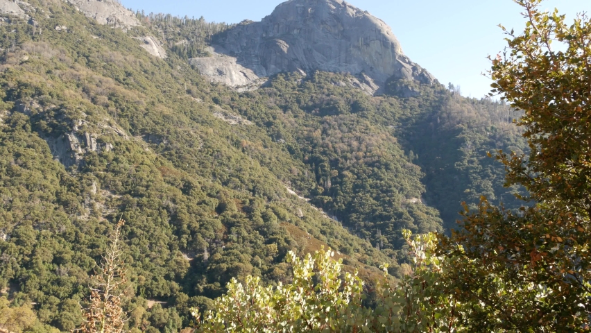 Panoramic view from Moro Rock in Sequoia forest national park, Northern California, USA. Overlooking old-growth woodland, coniferous trees on mountains of Sierra Nevada. Viewpoint near Kings Canyon.