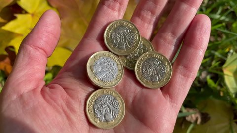 British pounds sterling coins on a woman's palm. One pound metal coins on a female hand against autumnal background. Money earning, savings concept. British pounds under the sunlight. Money begging
