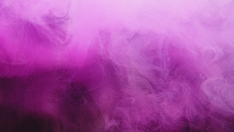 Color smoke blast. Transition effect. Paint water splash. Silky wave. Neon pink fume cloud explosion motion on dark purple background for intro. Vídeo Stock